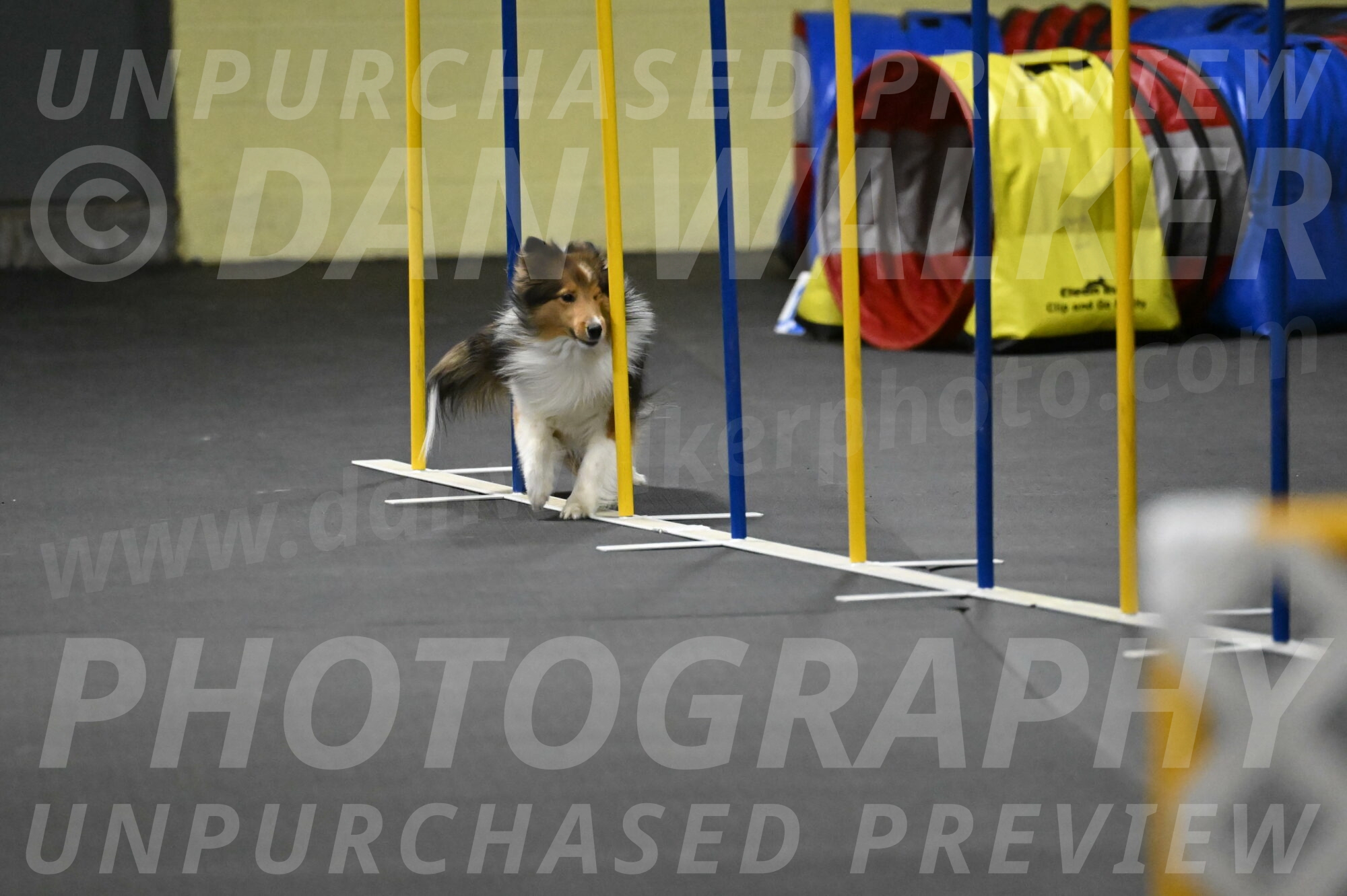 Aurora-Stachurski-03013