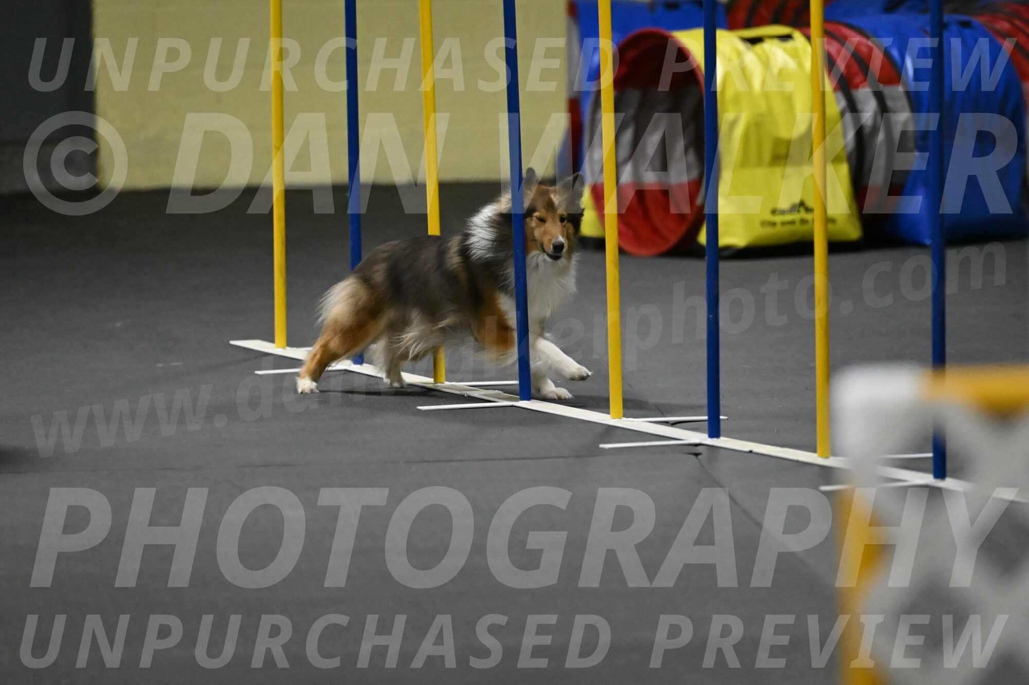 Aurora-Stachurski-03017