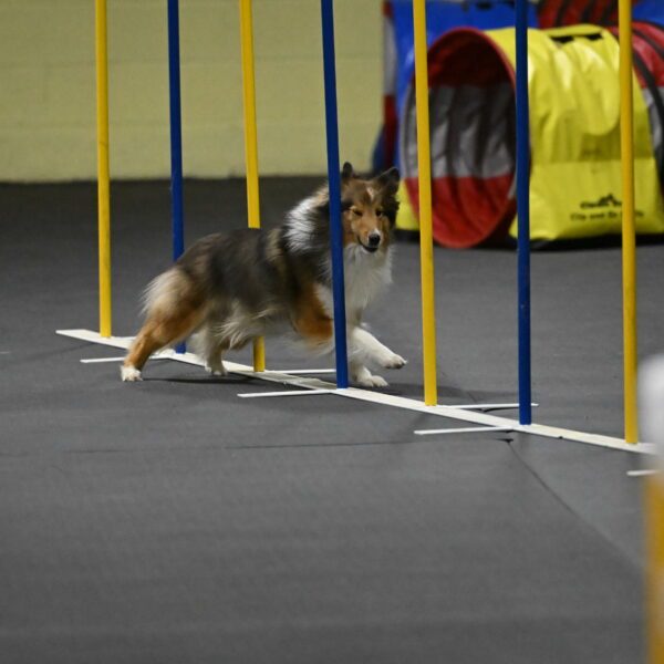 Aurora-Stachurski-03017