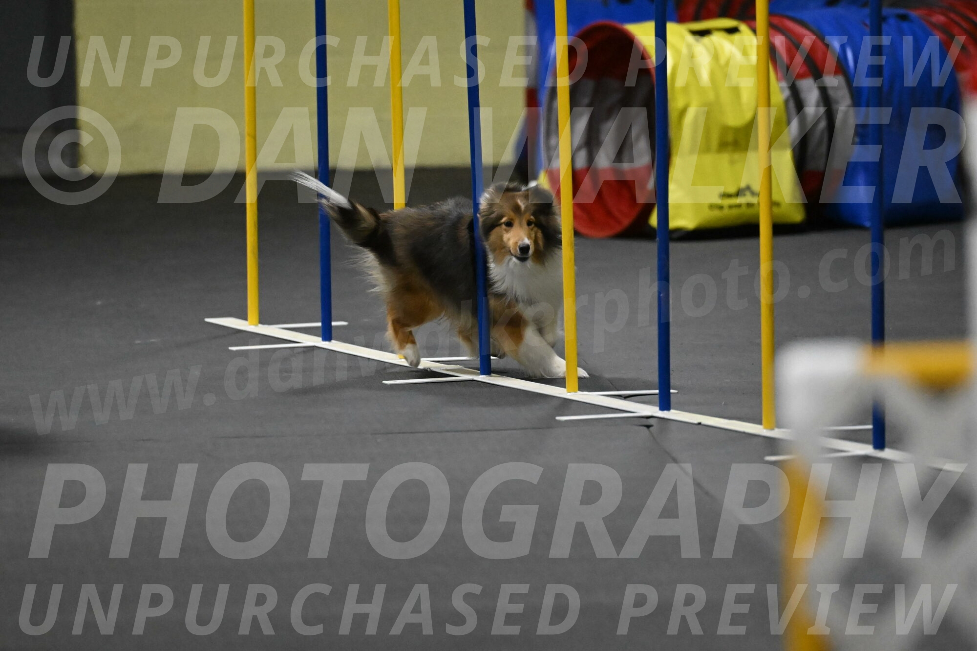 Aurora-Stachurski-03018