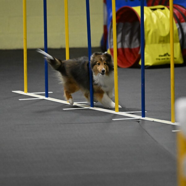 Aurora-Stachurski-03018