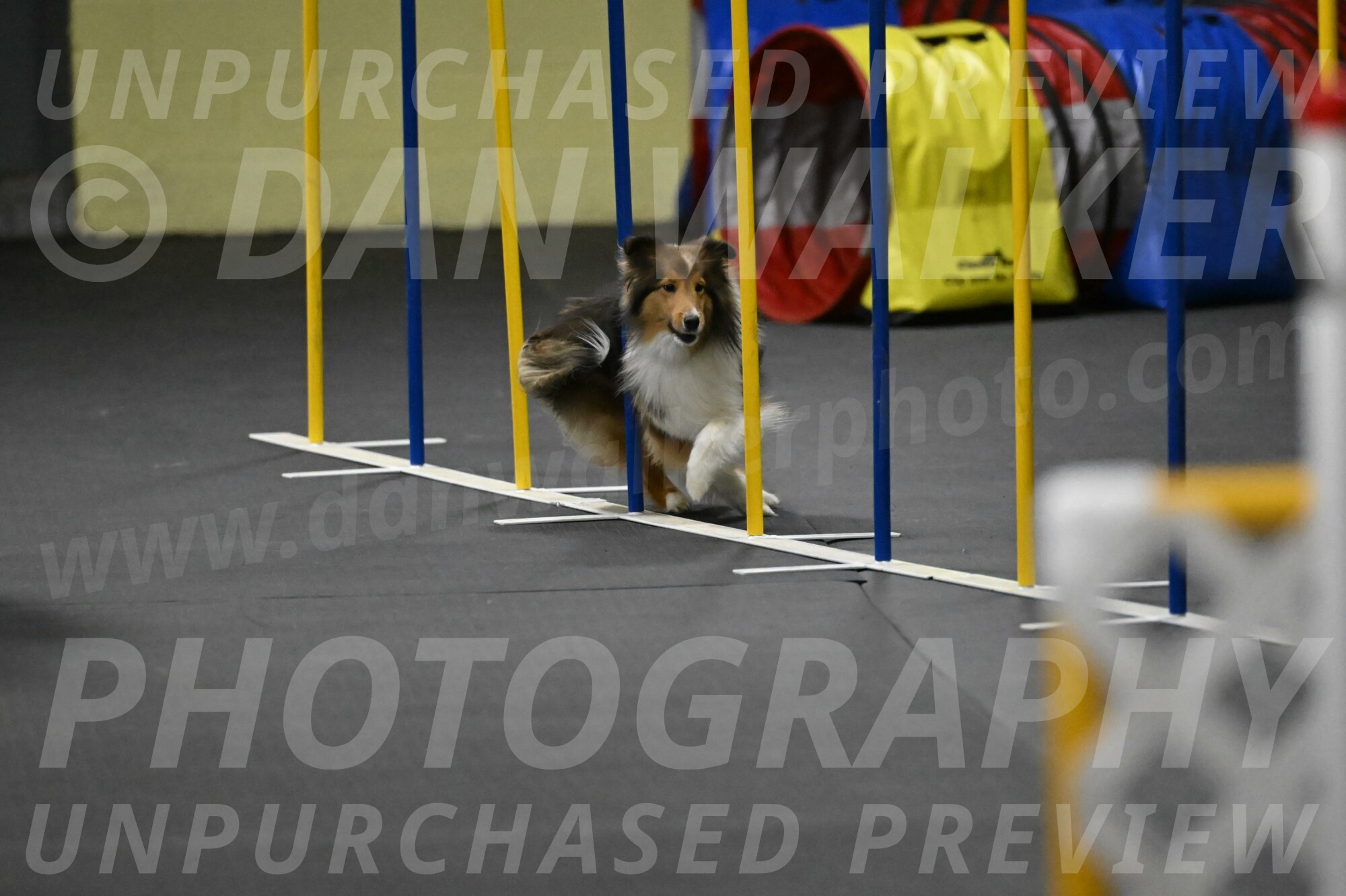 Aurora-Stachurski-03019