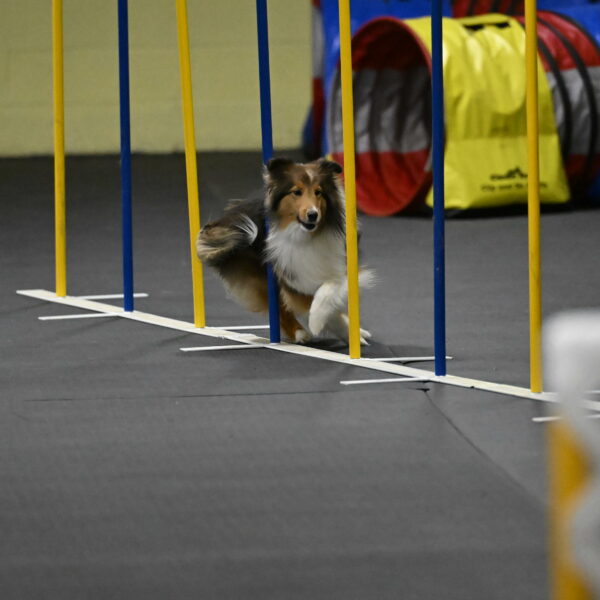 Aurora-Stachurski-03019