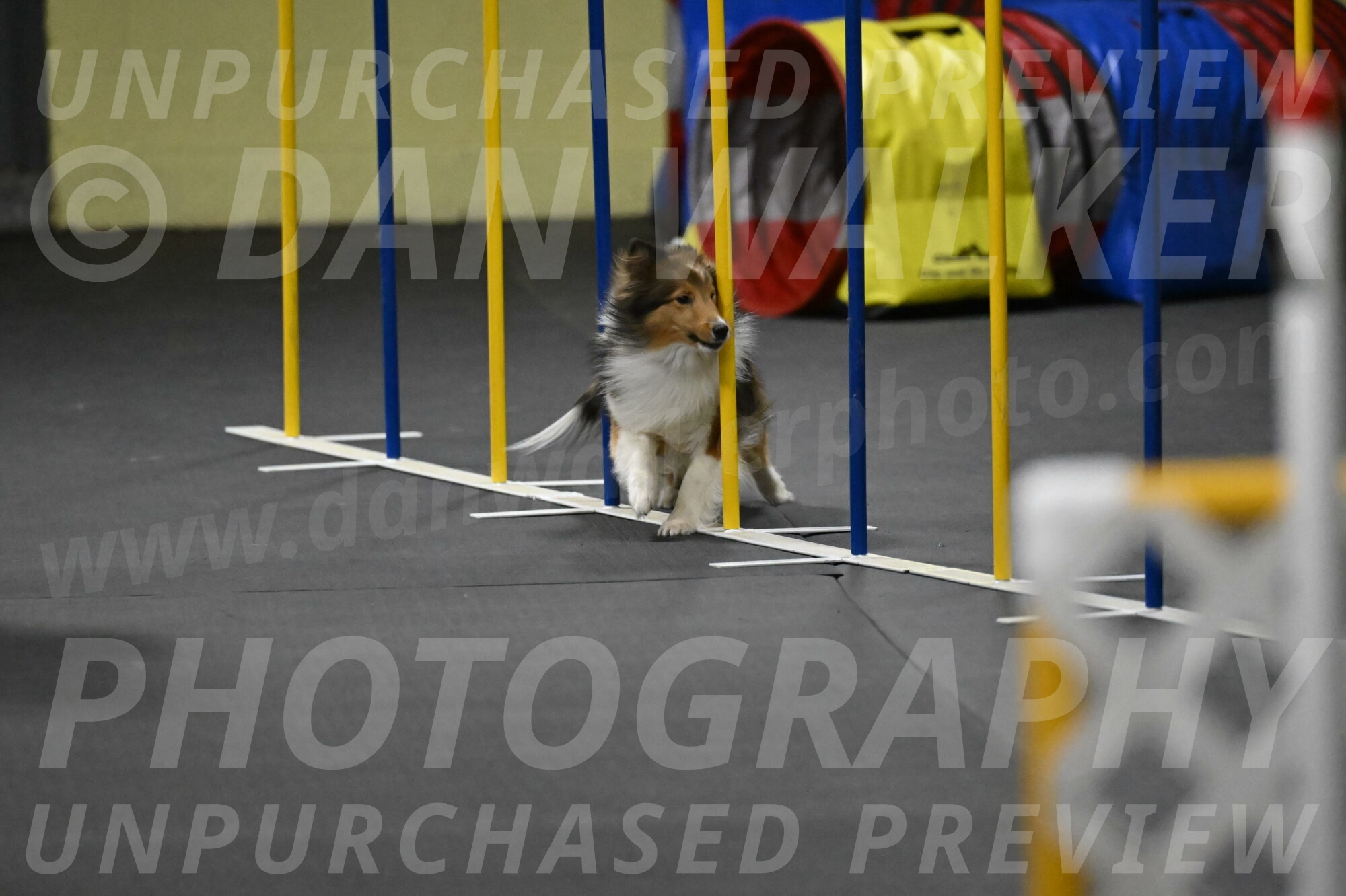 Aurora-Stachurski-03020