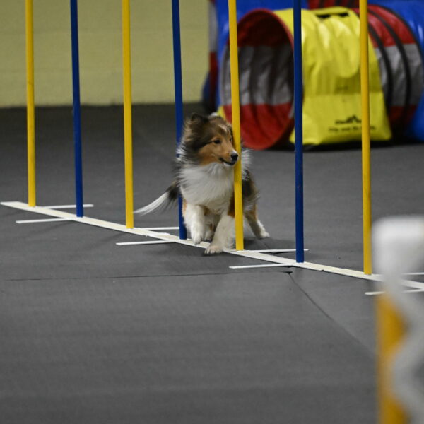 Aurora-Stachurski-03020