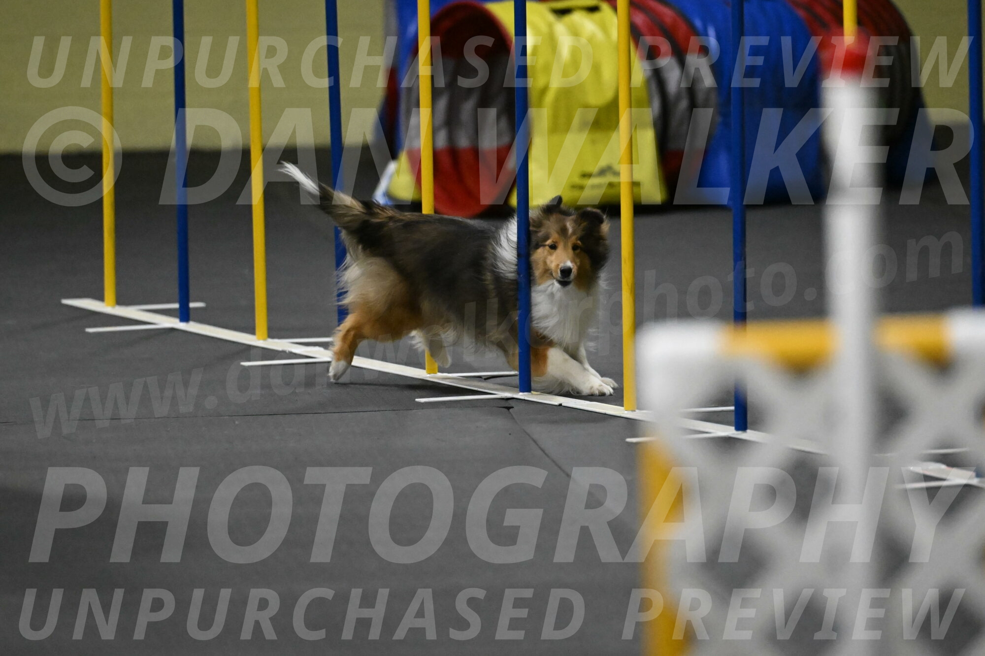 Aurora-Stachurski-03024