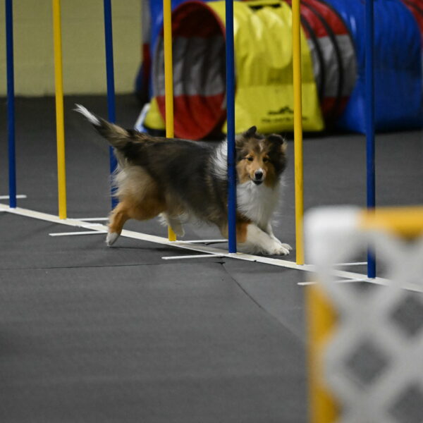 Aurora-Stachurski-03024