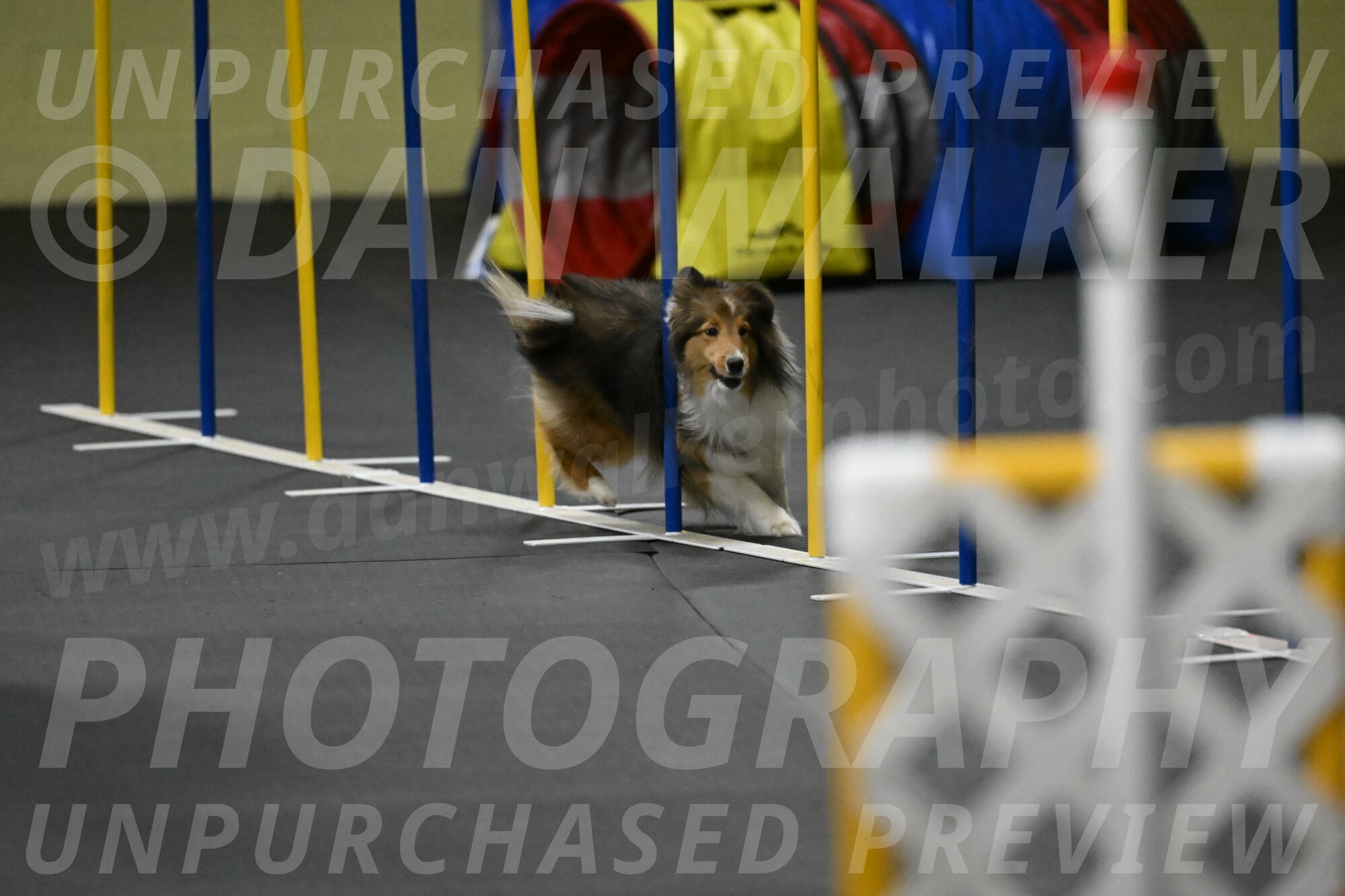 Aurora-Stachurski-03025