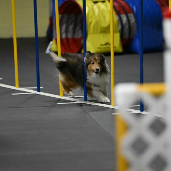 Aurora-Stachurski-03025