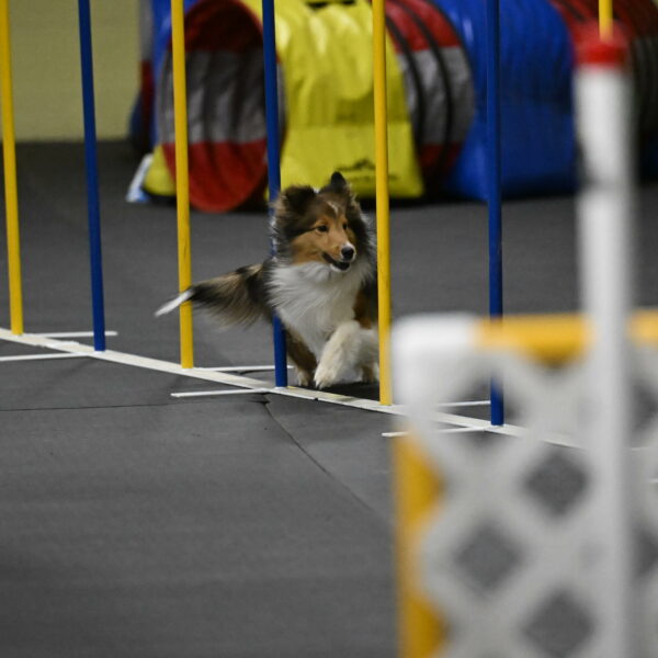 Aurora-Stachurski-03026