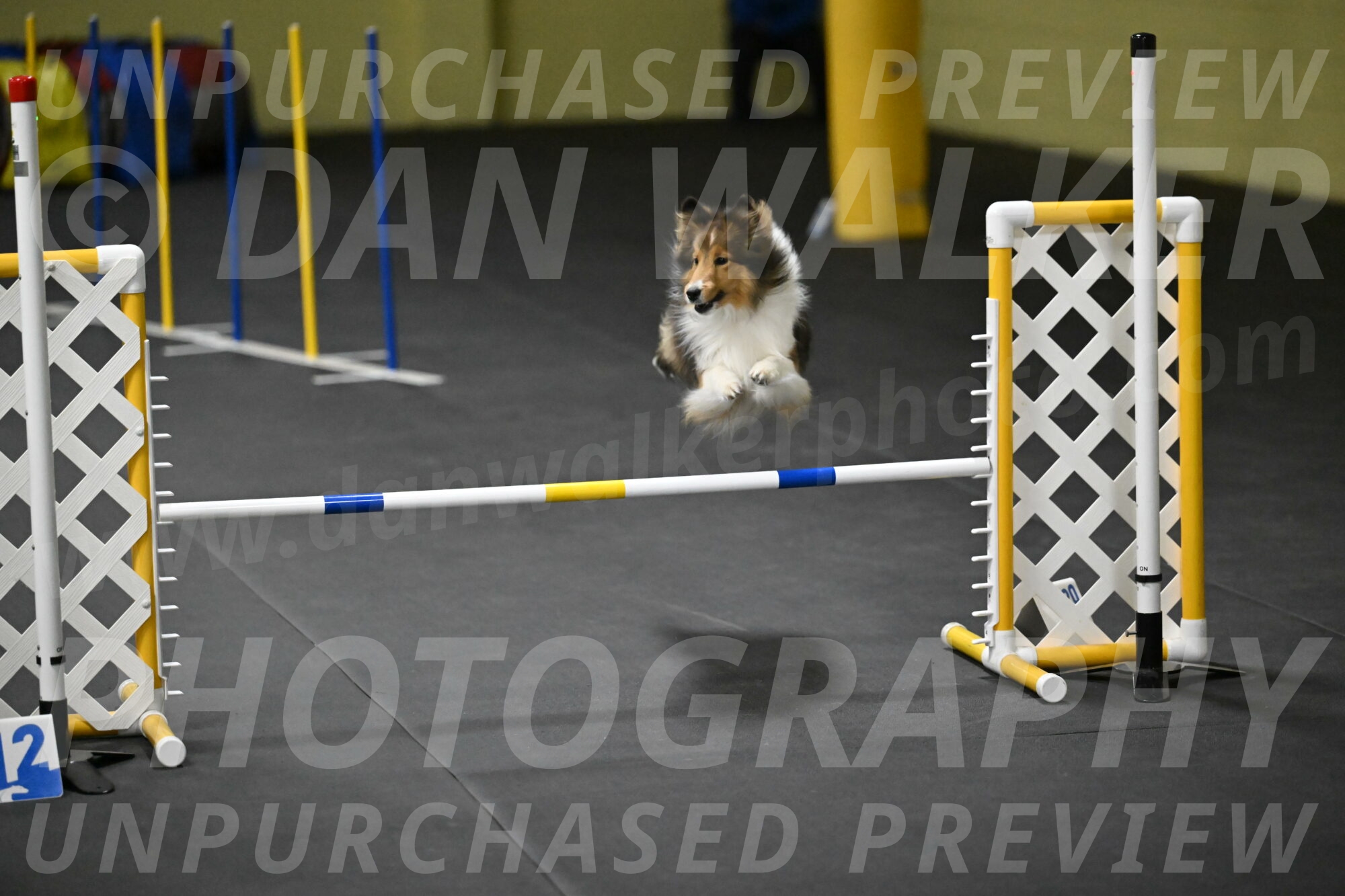 Aurora-Stachurski-03031