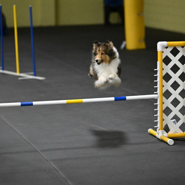 Aurora-Stachurski-03031