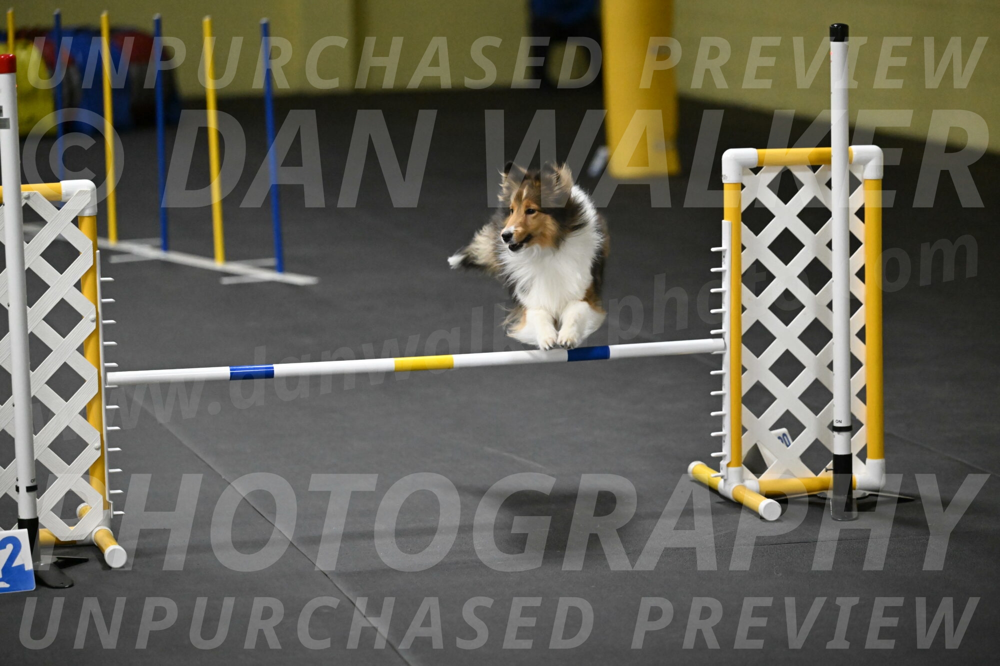 Aurora-Stachurski-03032