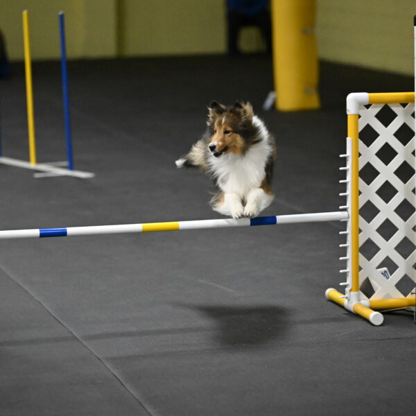 Aurora-Stachurski-03032