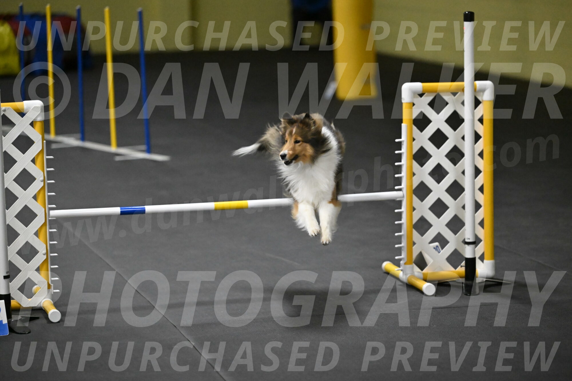 Aurora-Stachurski-03033