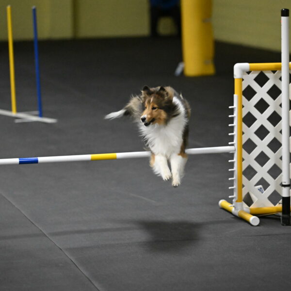 Aurora-Stachurski-03033