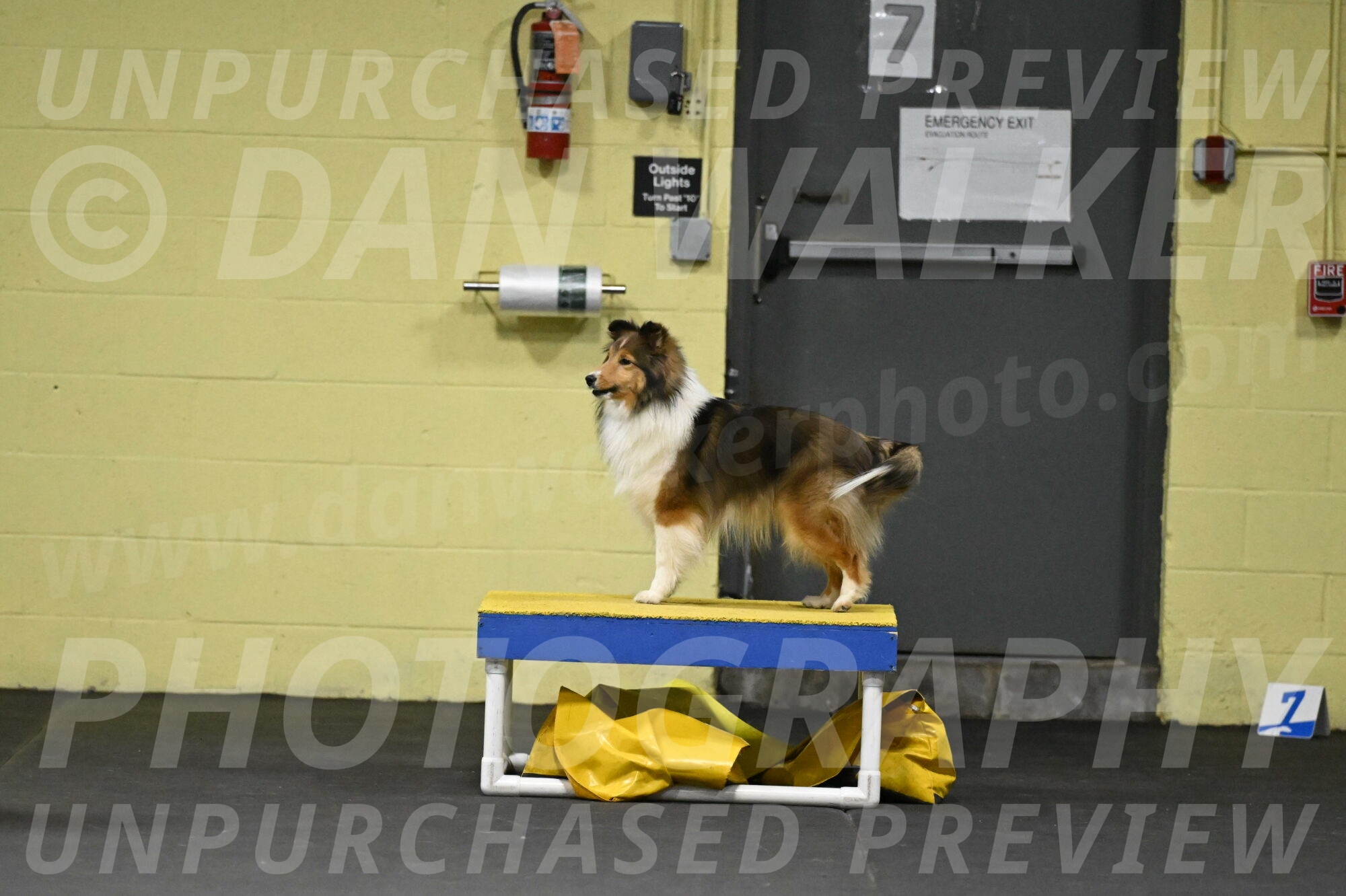 Aurora-Stachurski-03036