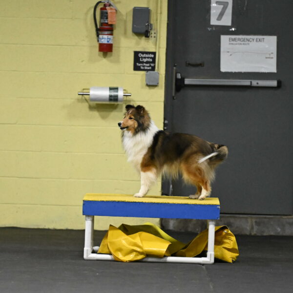 Aurora-Stachurski-03036