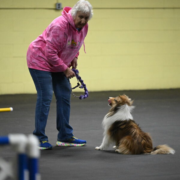 Bailey-Schmauder-01203