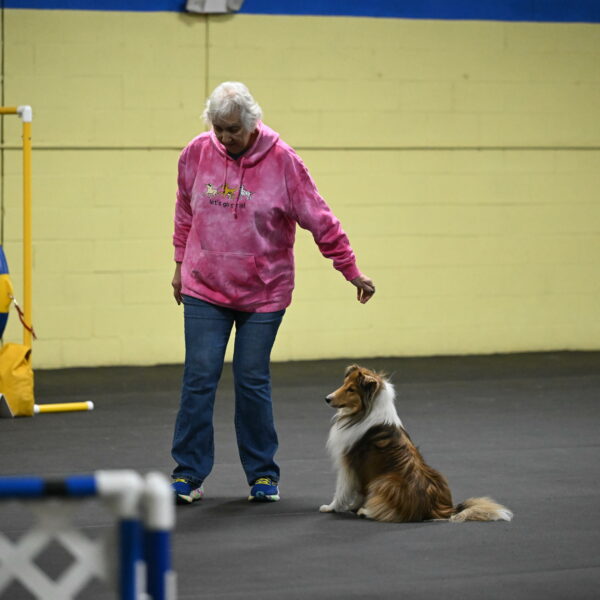 Bailey-Schmauder-01209