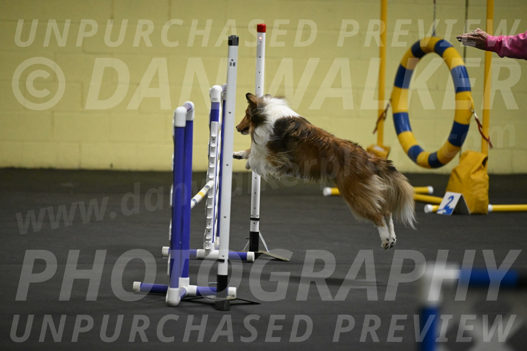 Bailey-Schmauder-01212