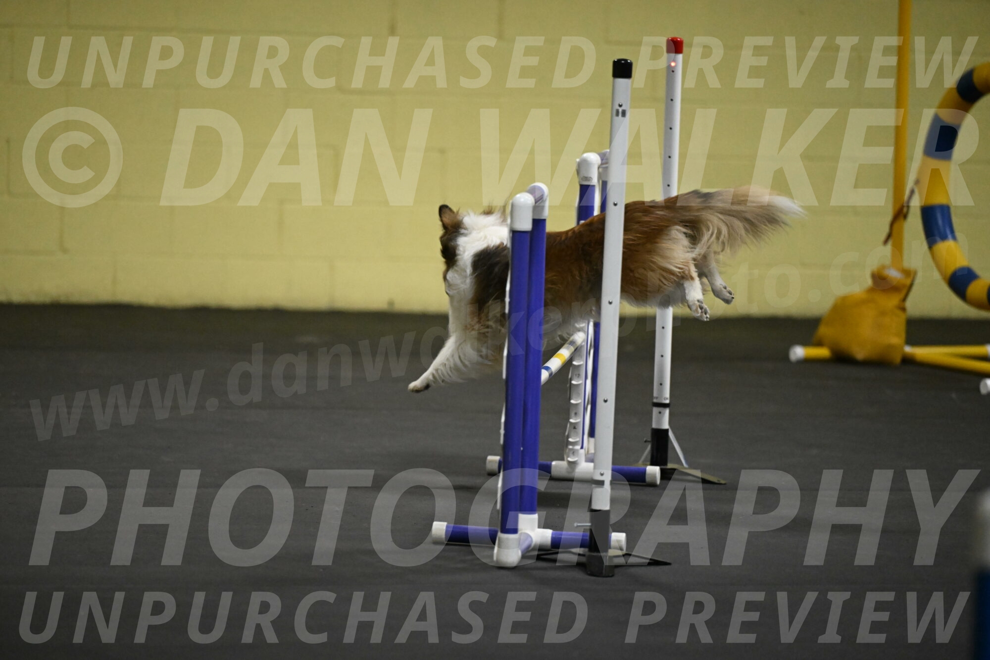 Bailey-Schmauder-01215