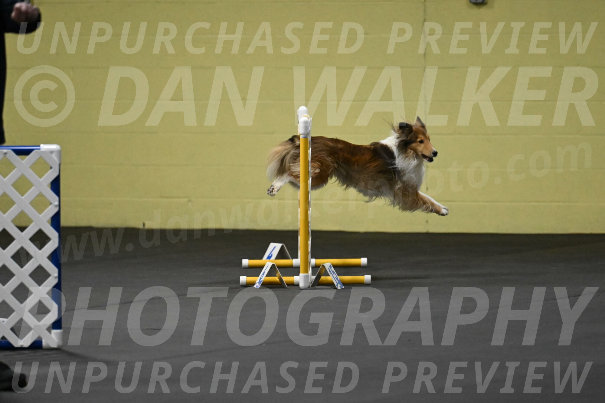 Bailey-Schmauder-01216