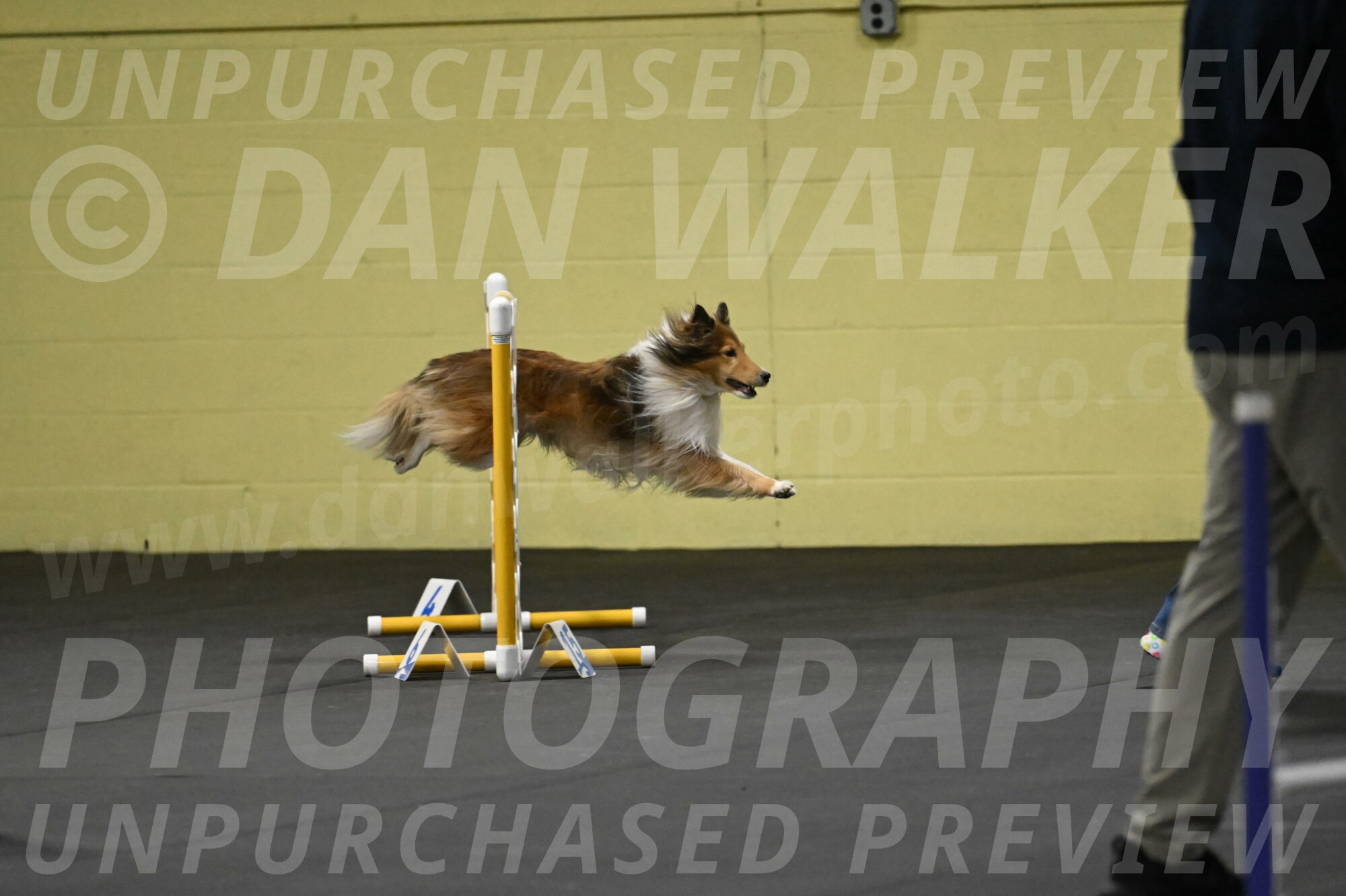 Bailey-Schmauder-01218