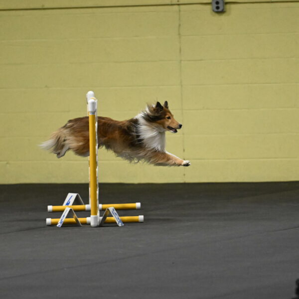 Bailey-Schmauder-01218