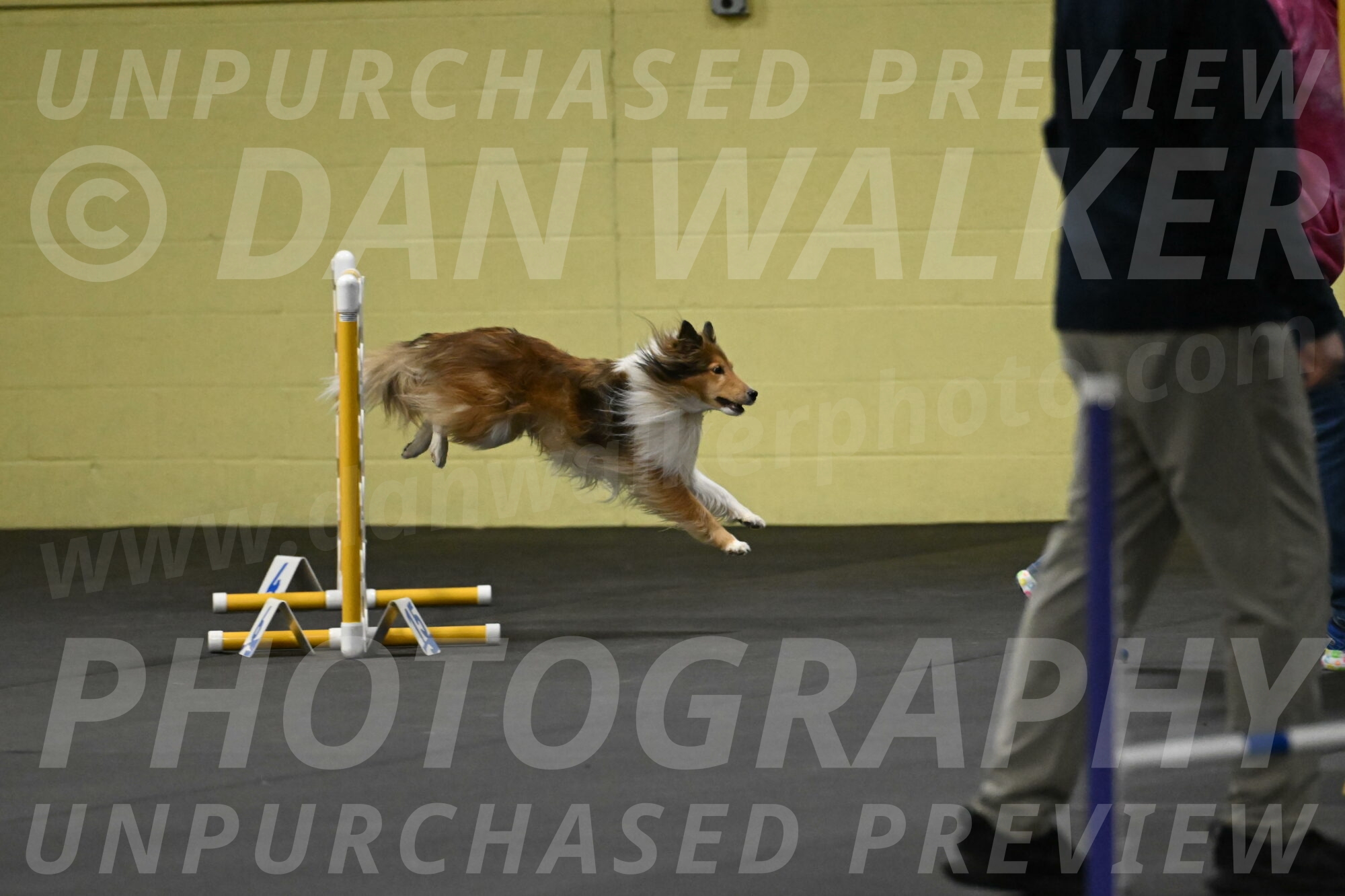 Bailey-Schmauder-01219