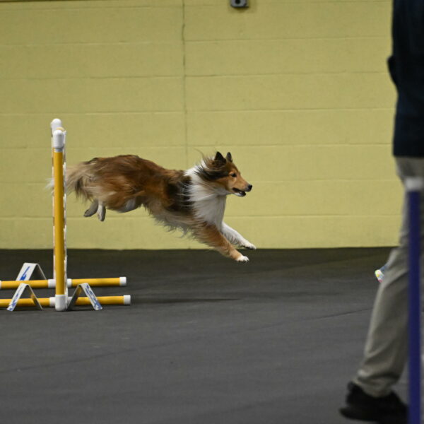 Bailey-Schmauder-01219