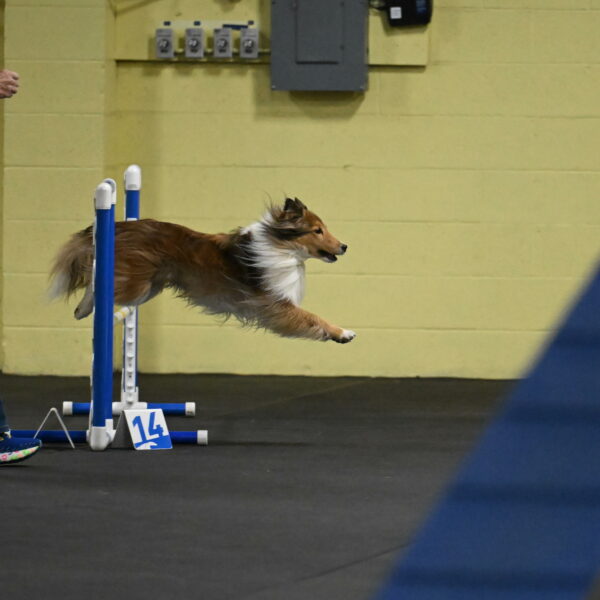 Bailey-Schmauder-01221