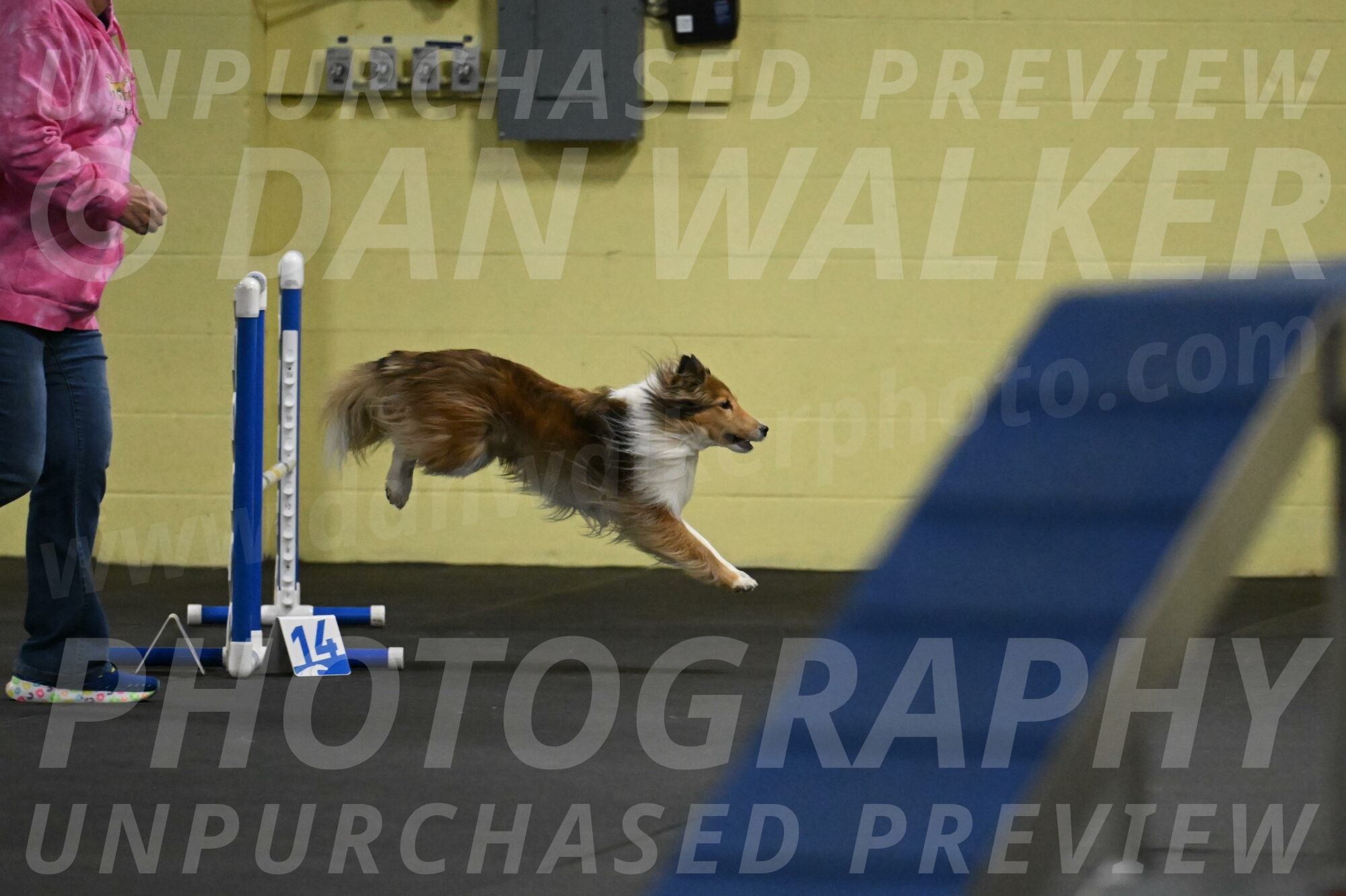 Bailey-Schmauder-01222