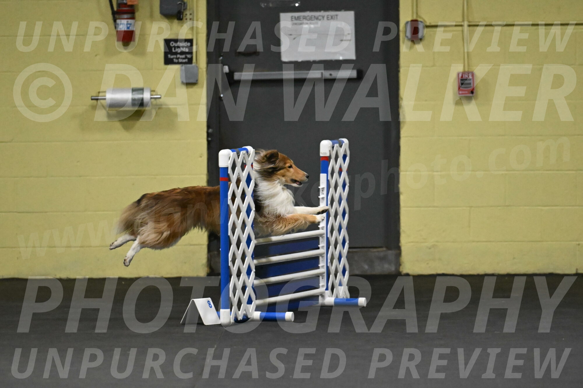 Bailey-Schmauder-01224