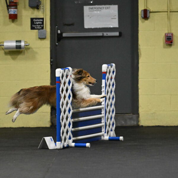 Bailey-Schmauder-01224