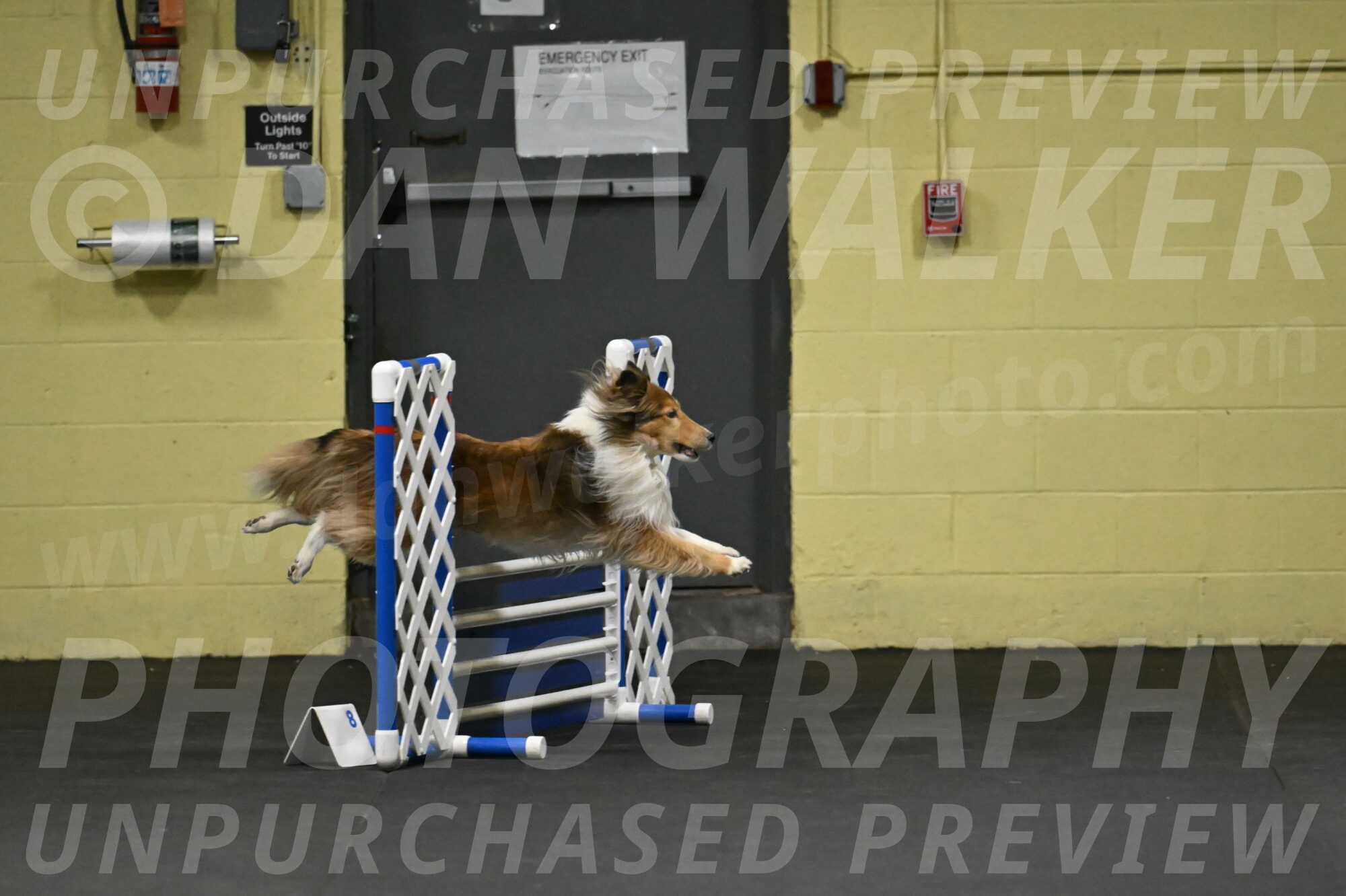 Bailey-Schmauder-01225