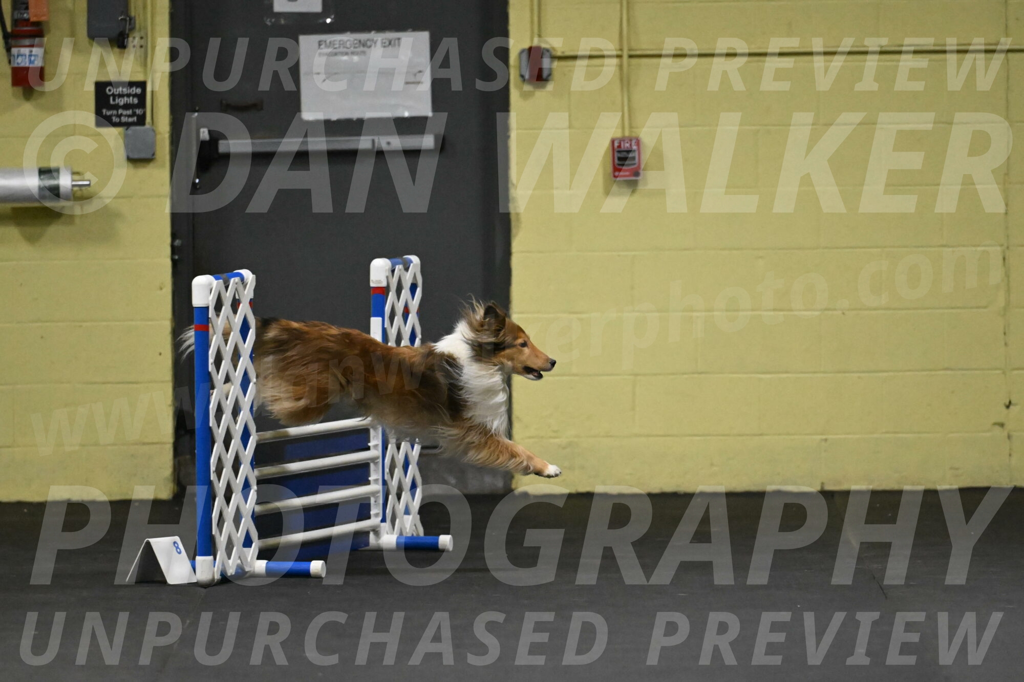 Bailey-Schmauder-01226