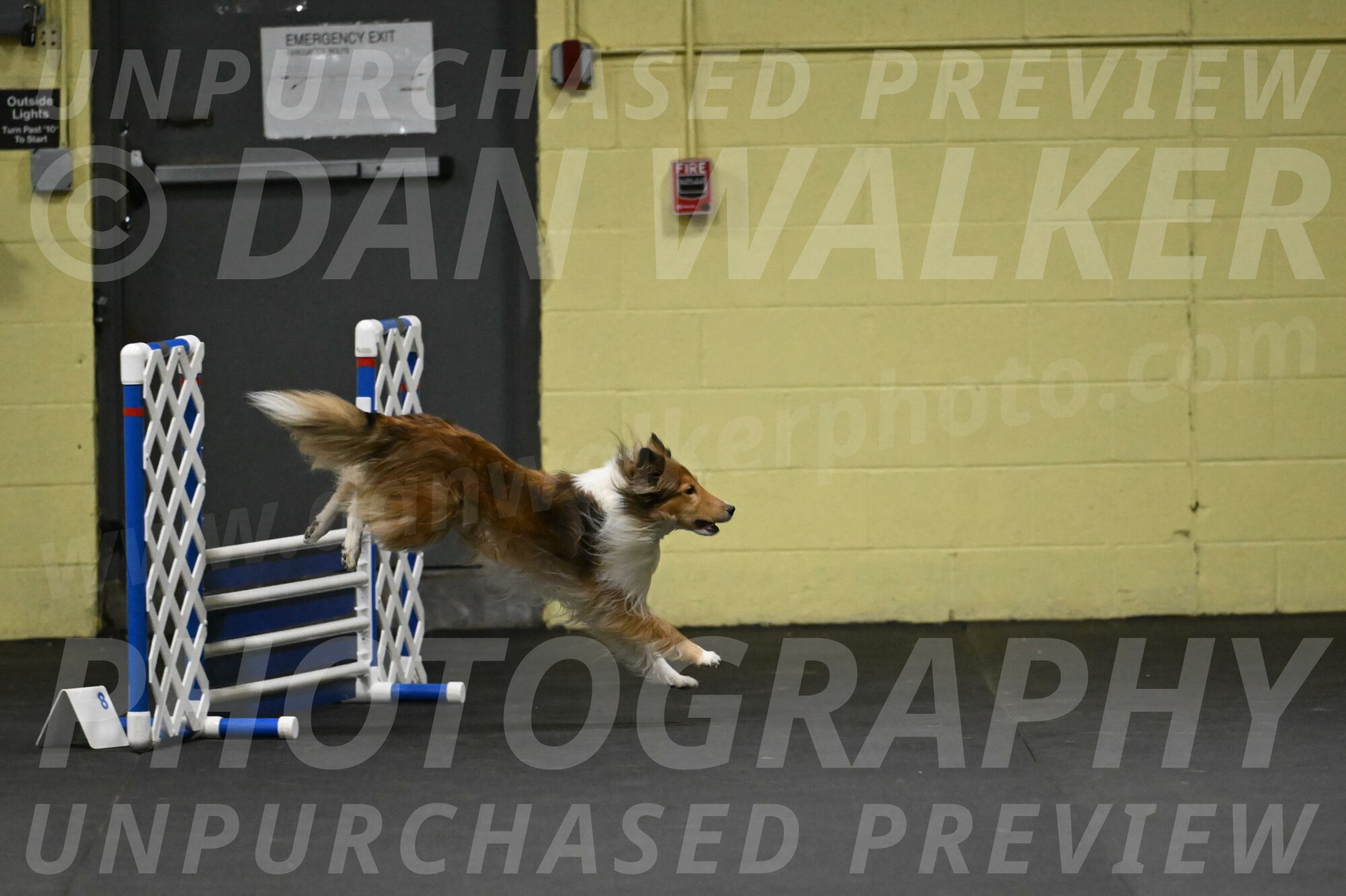 Bailey-Schmauder-01227