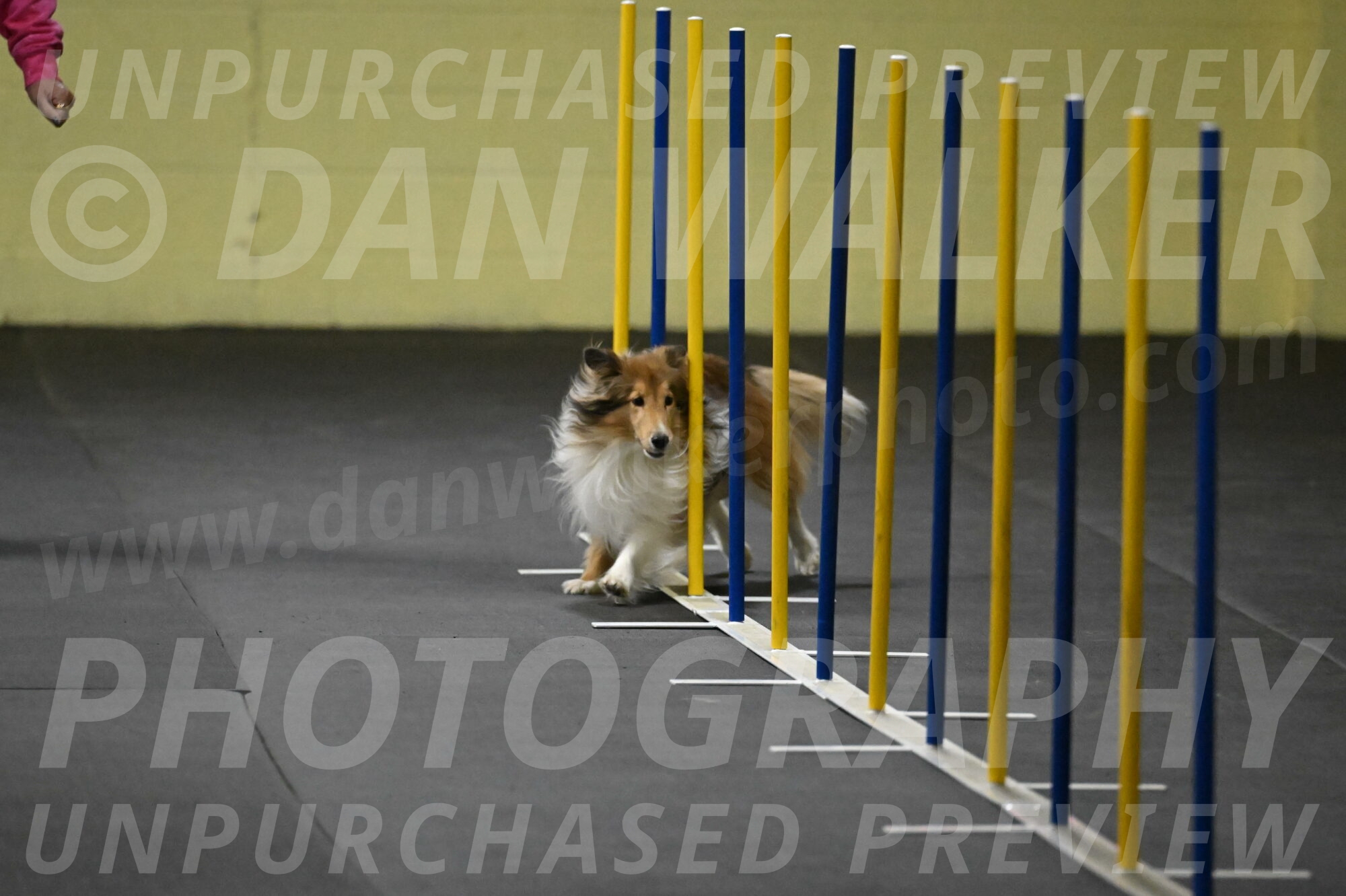 Bailey-Schmauder-01235