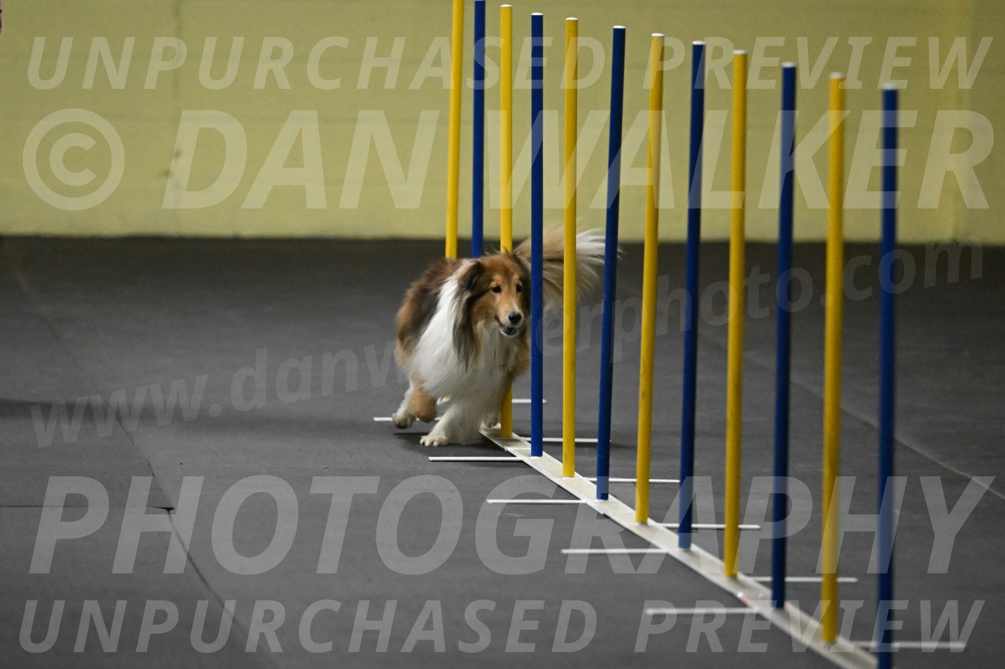 Bailey-Schmauder-01236