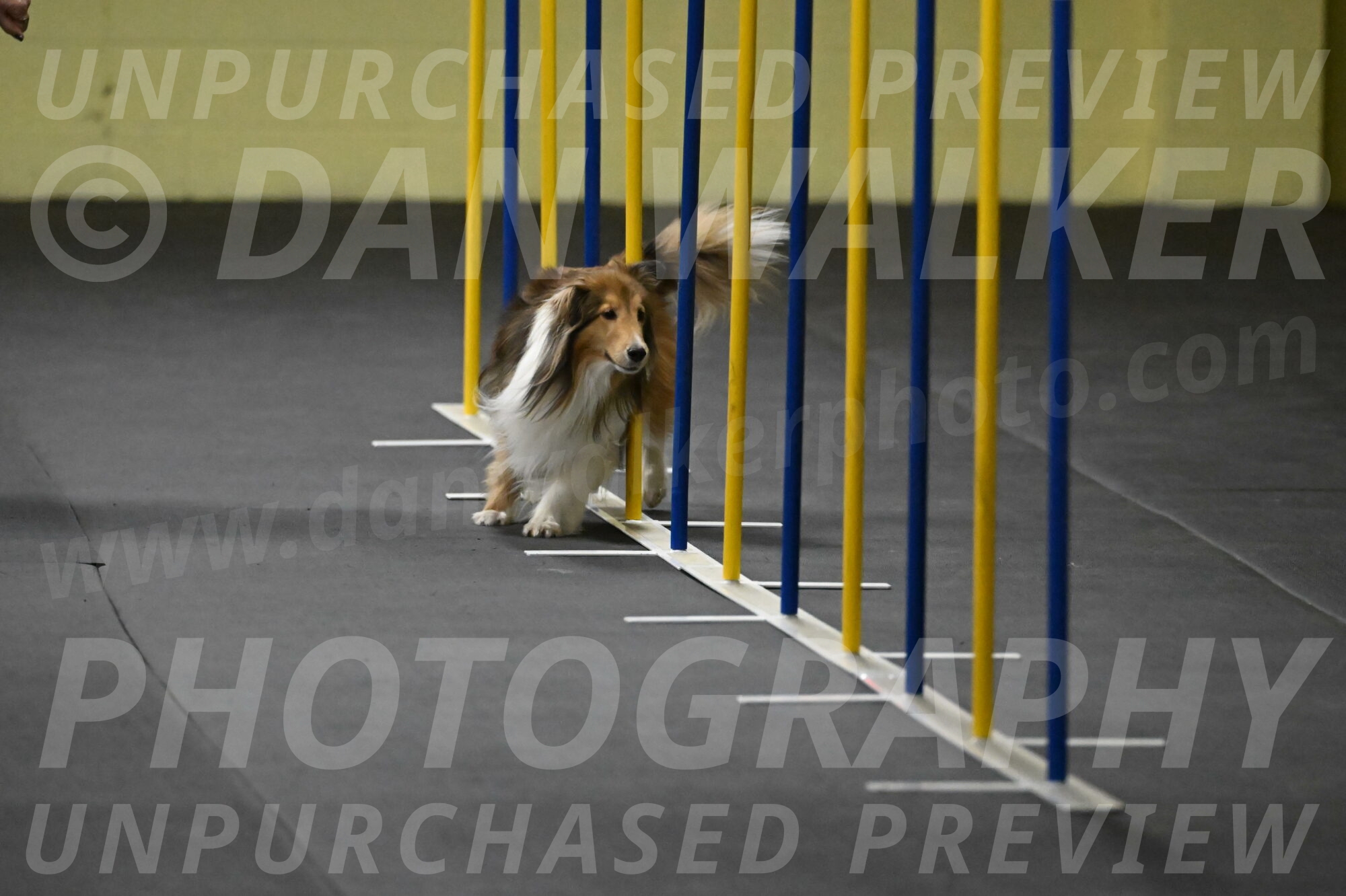 Bailey-Schmauder-01244