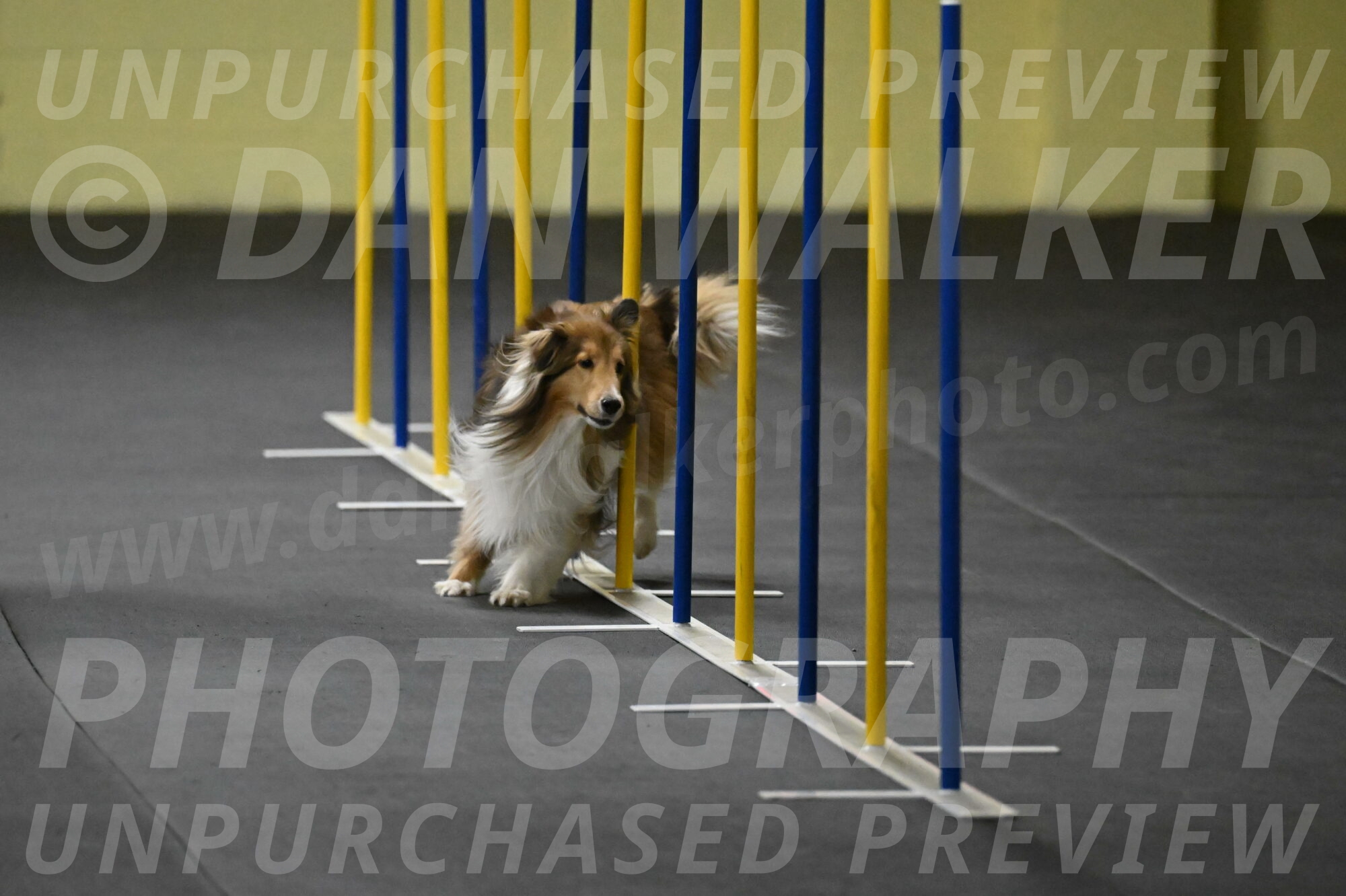 Bailey-Schmauder-01252