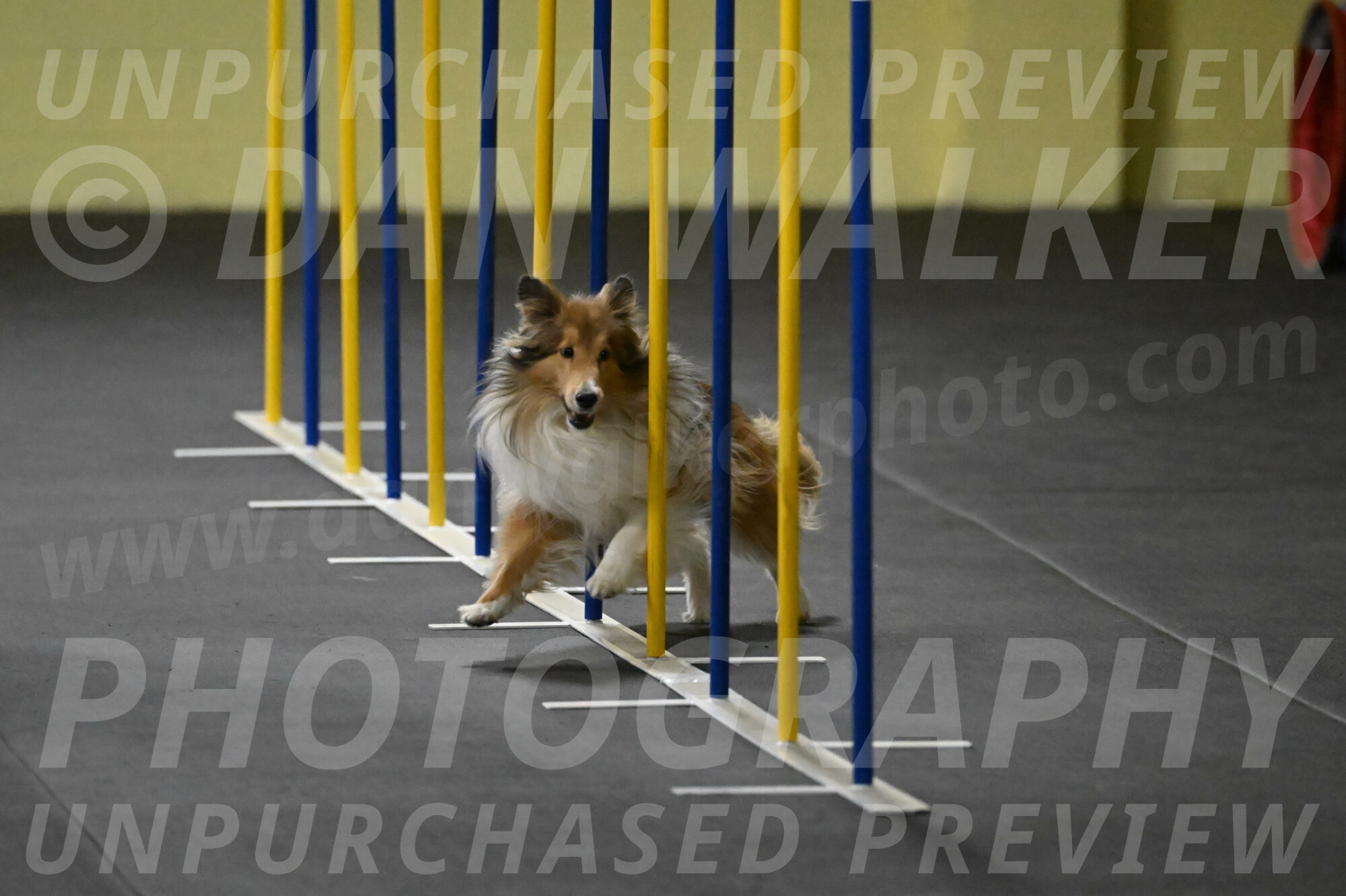 Bailey-Schmauder-01259