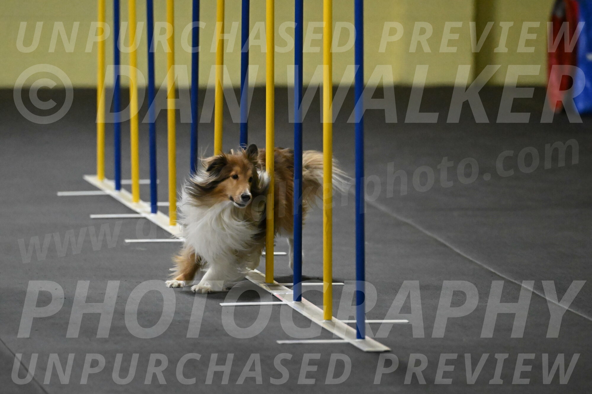 Bailey-Schmauder-01260