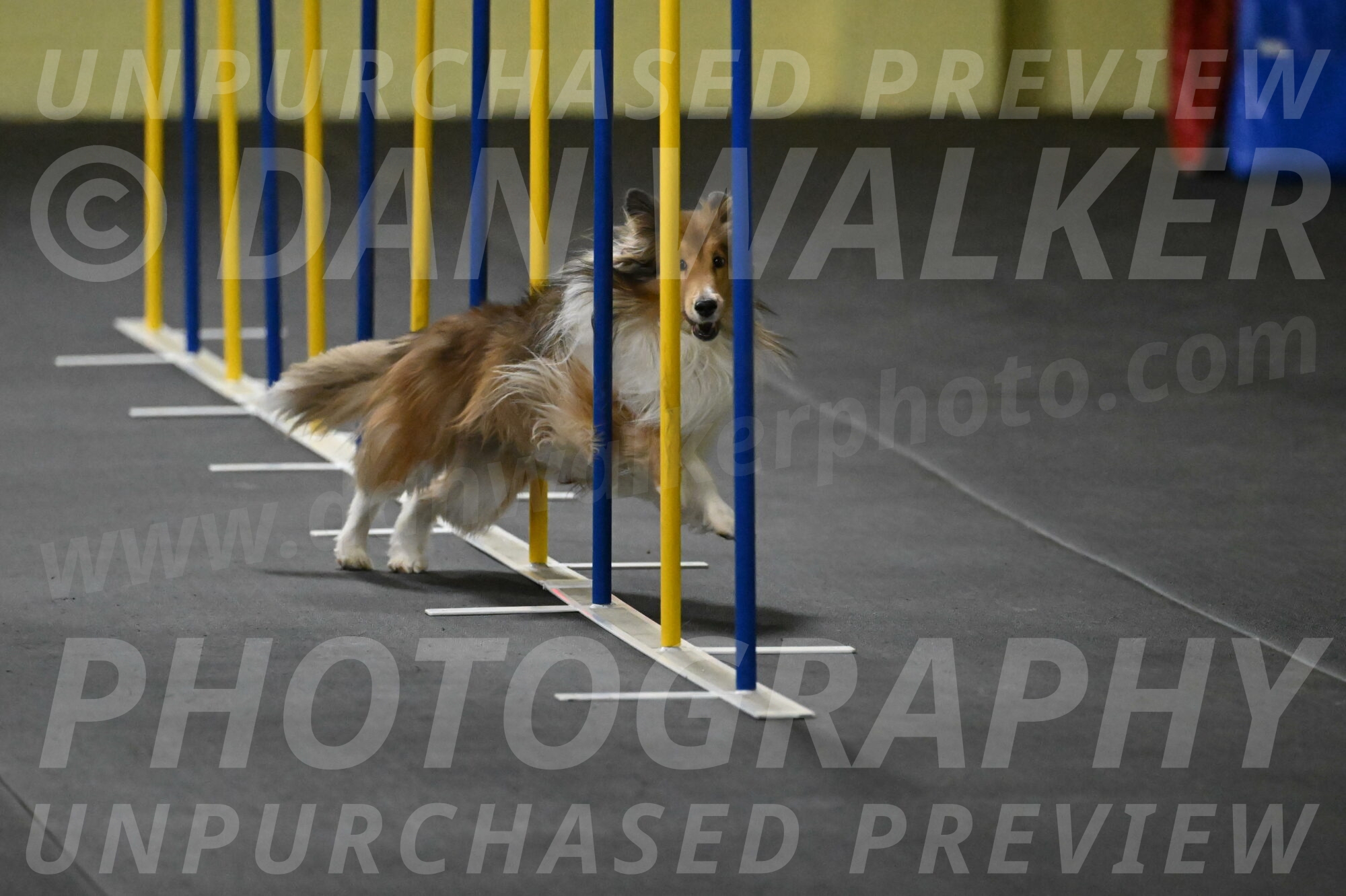 Bailey-Schmauder-01263