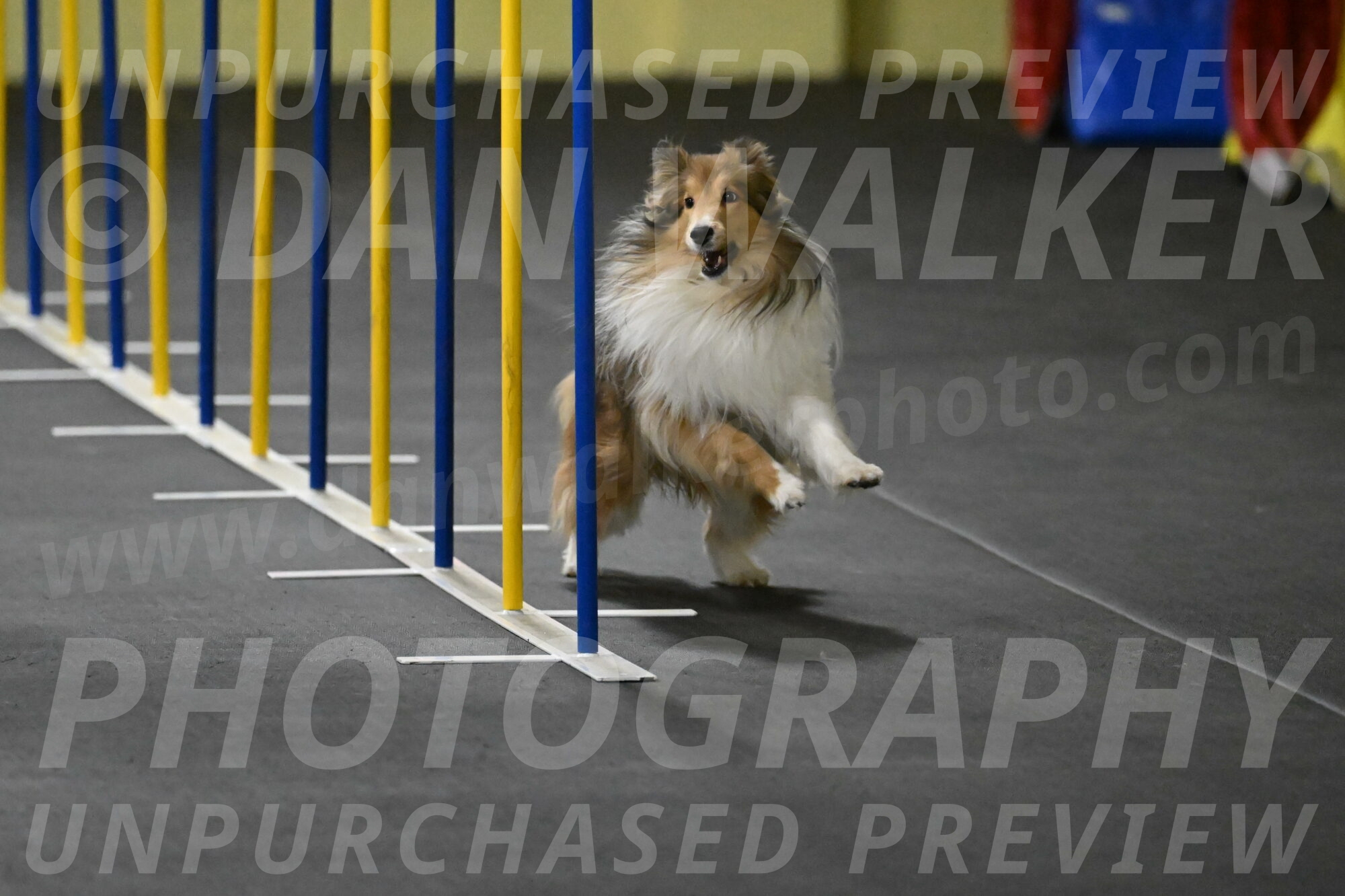 Bailey-Schmauder-01267