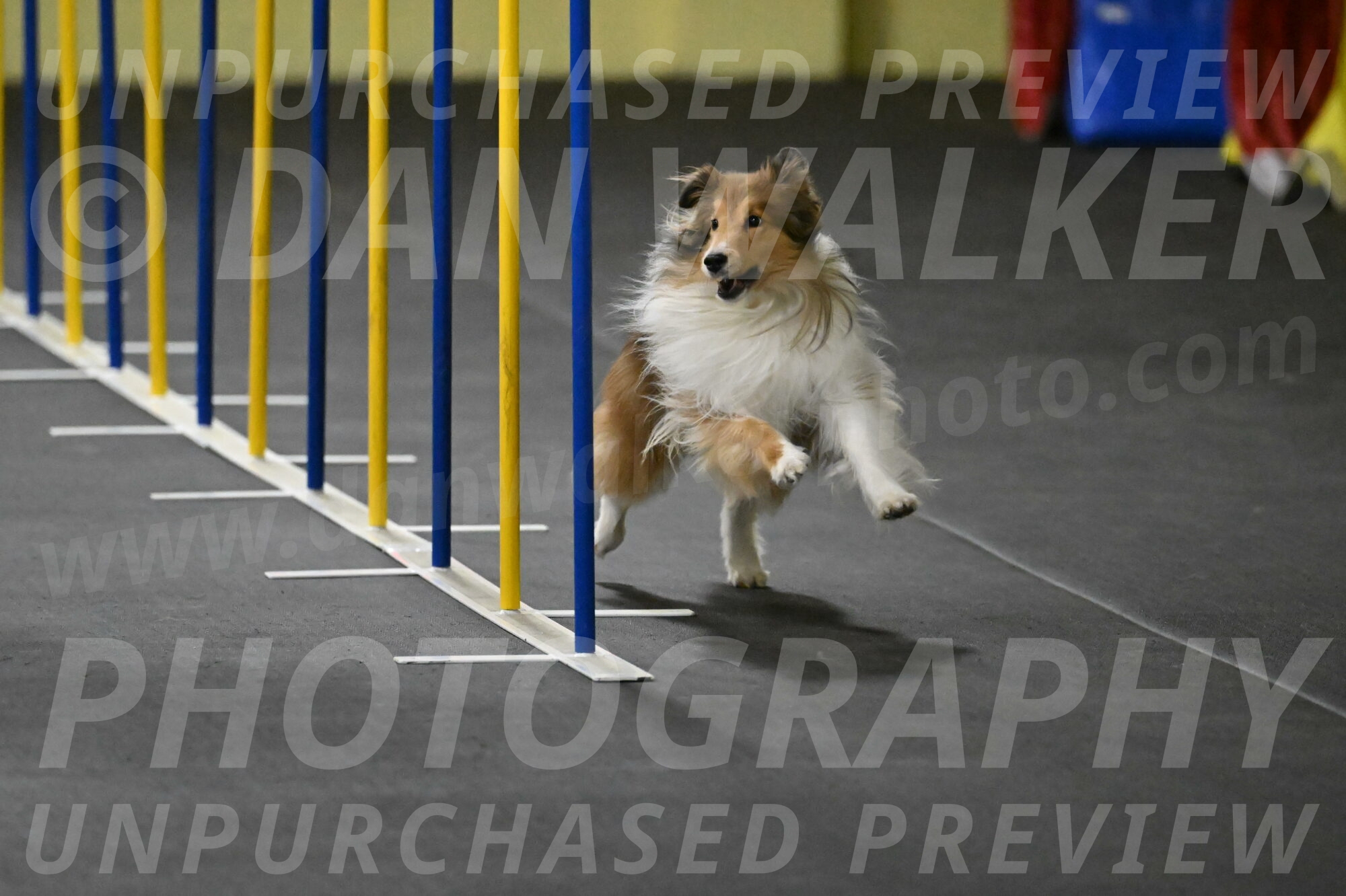 Bailey-Schmauder-01268