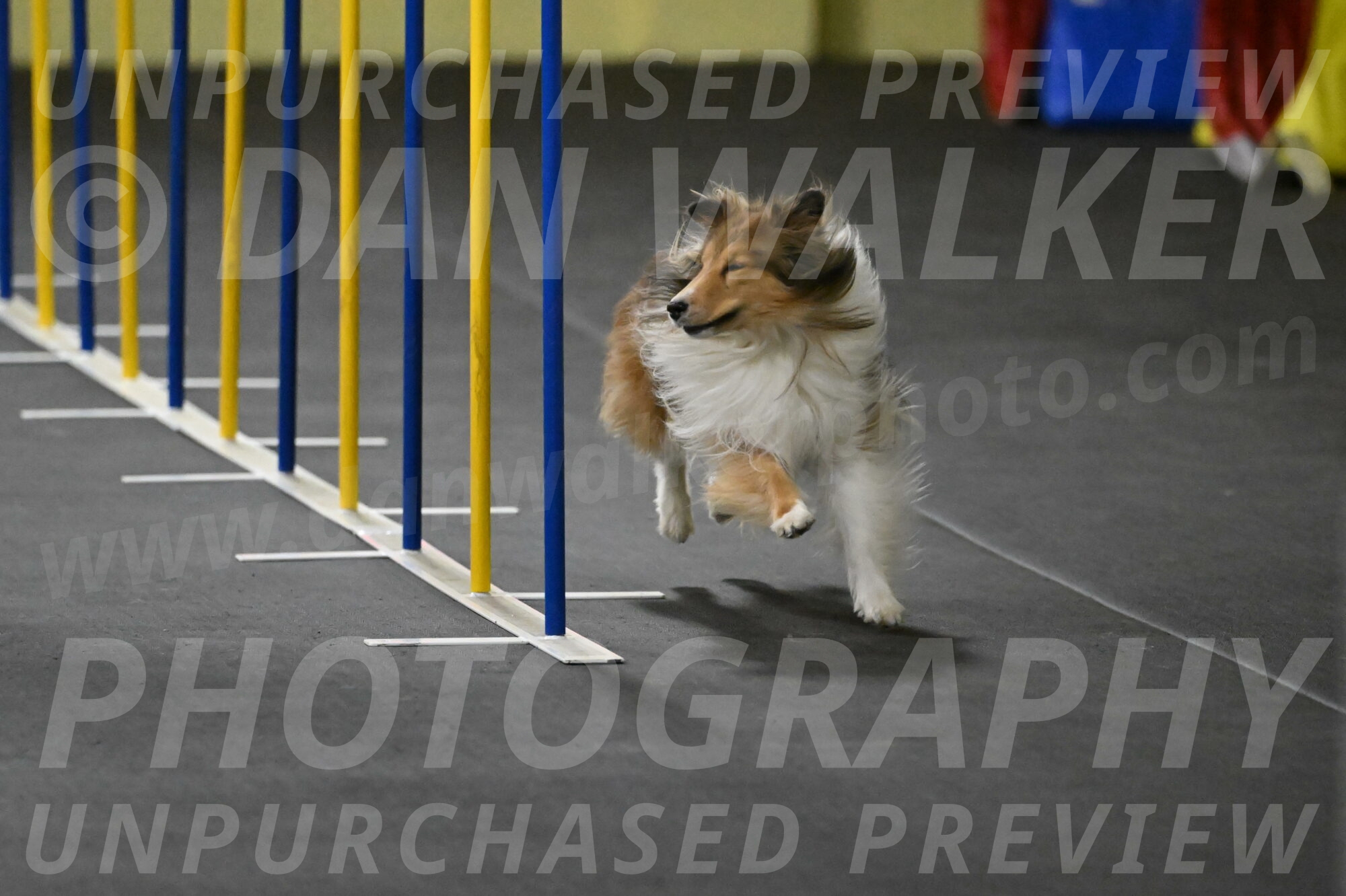 Bailey-Schmauder-01269