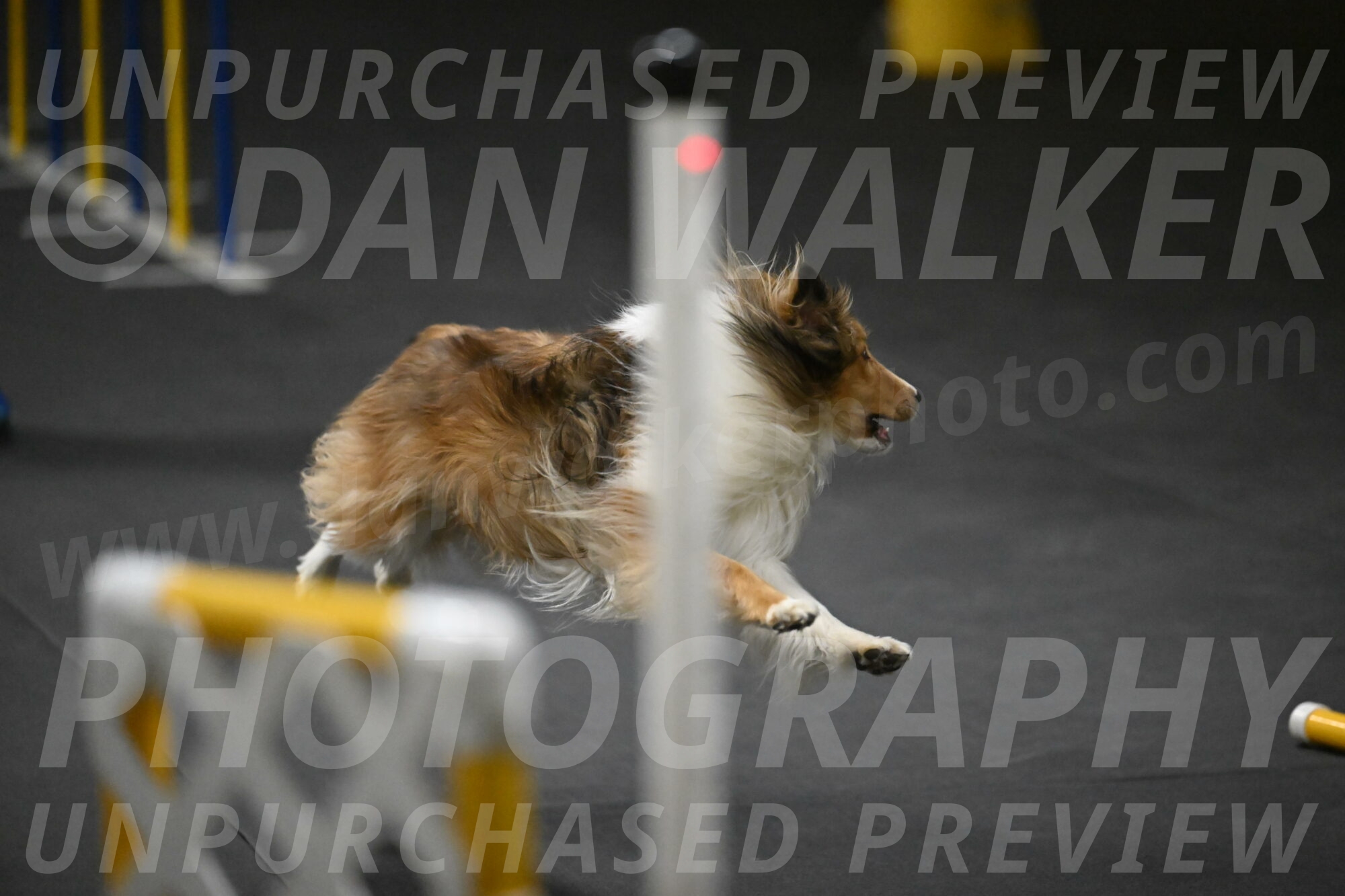 Bailey-Schmauder-01270