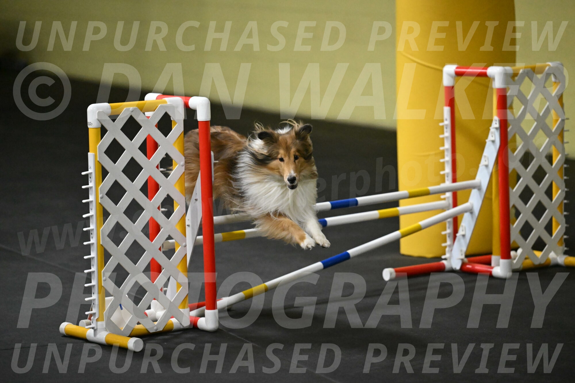 Bailey-Schmauder-01277